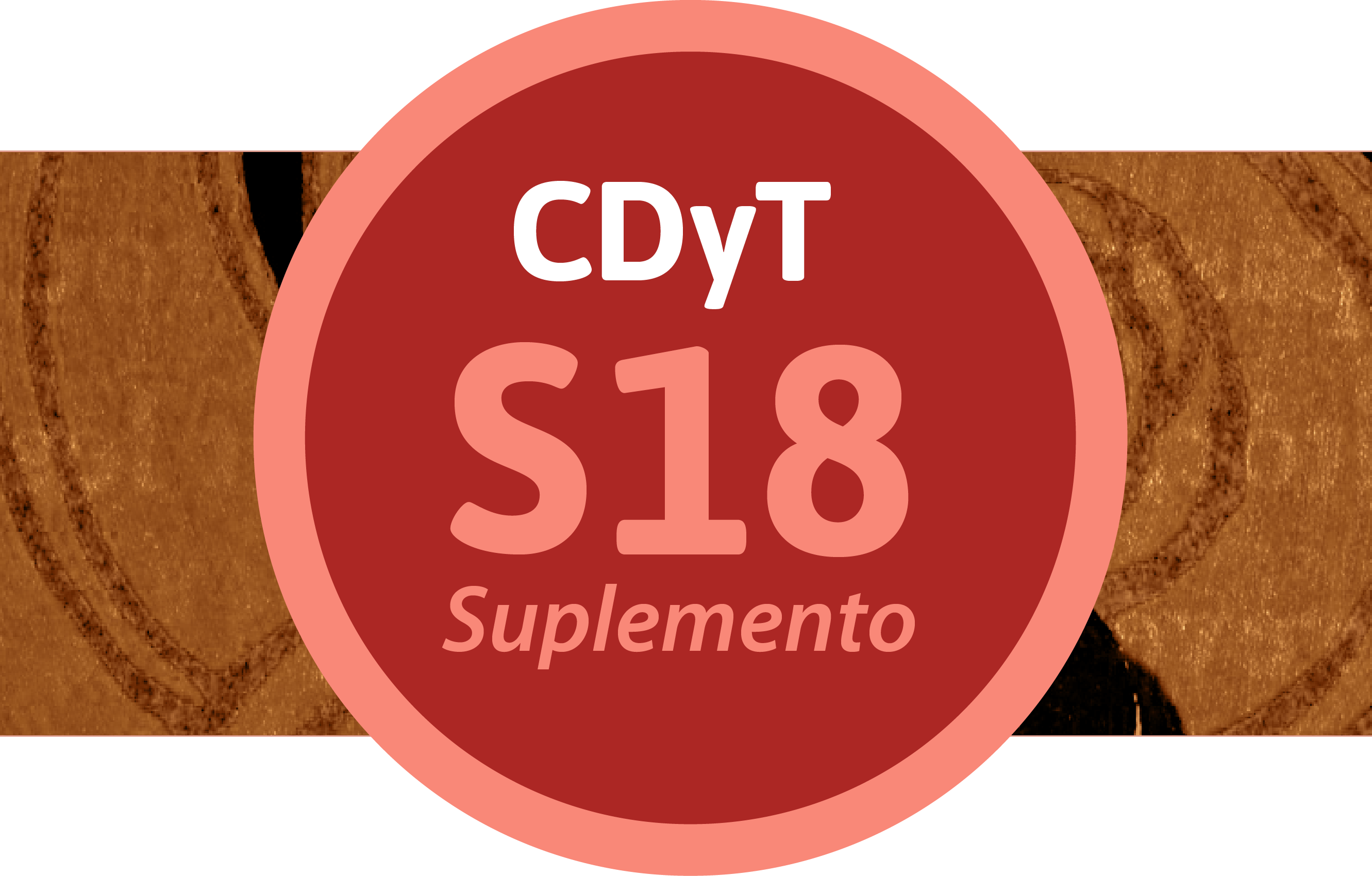 Ver Vol. 15 Núm. 18 (2025)