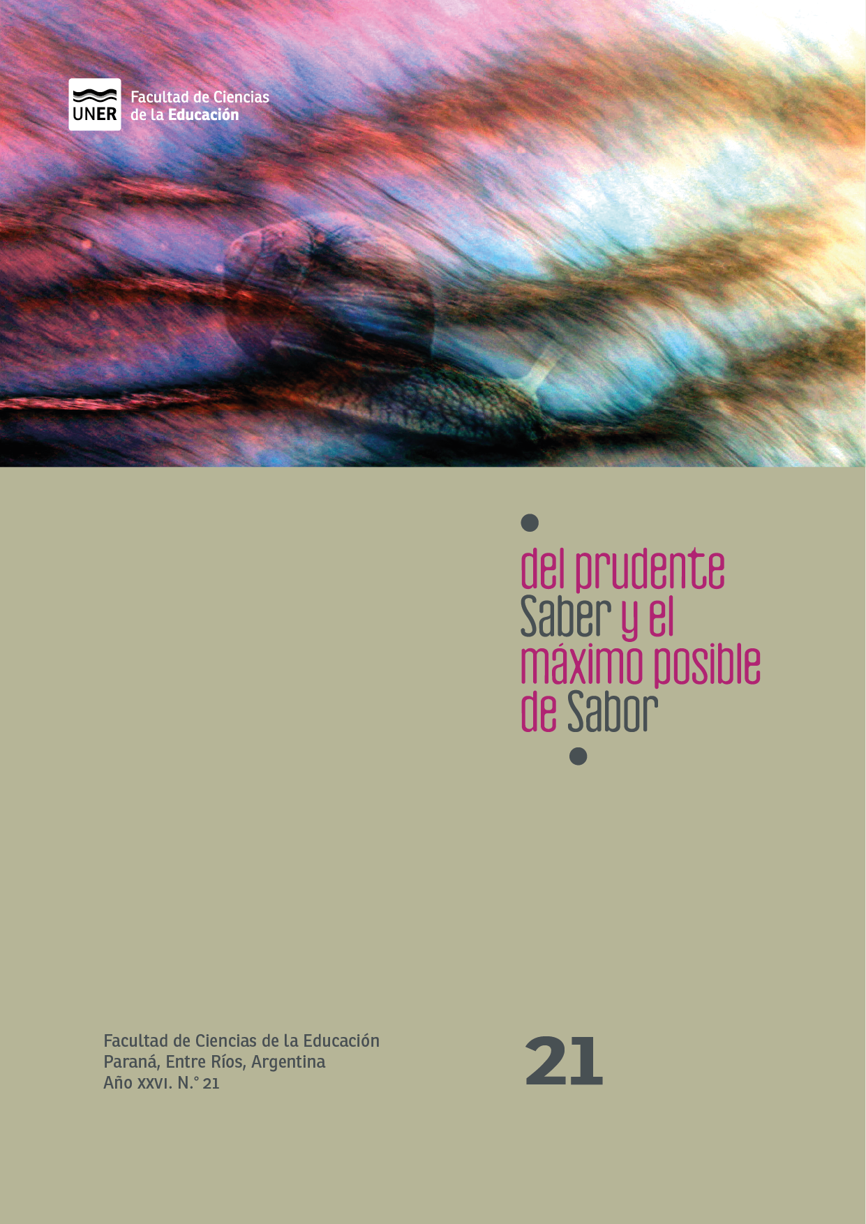 DPS 21